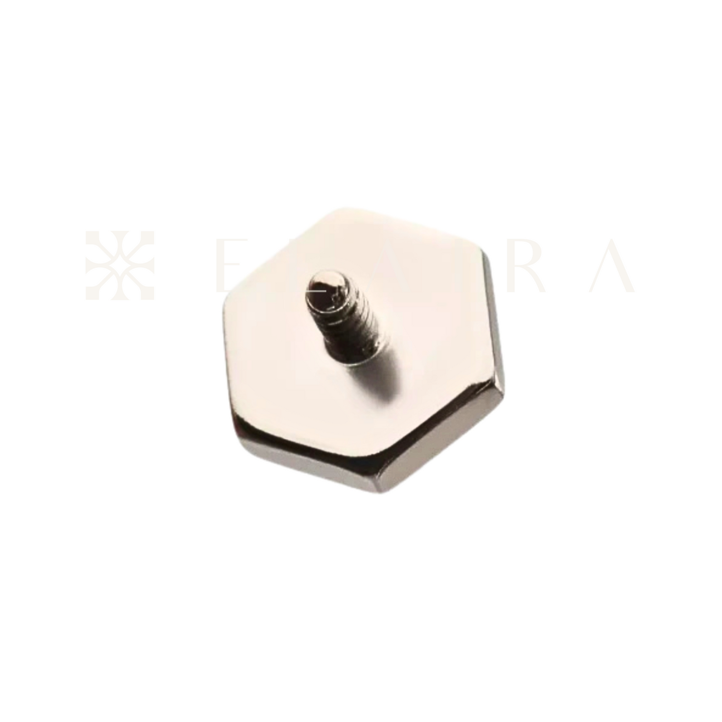 Elaira Titanium Hexagon Stud
