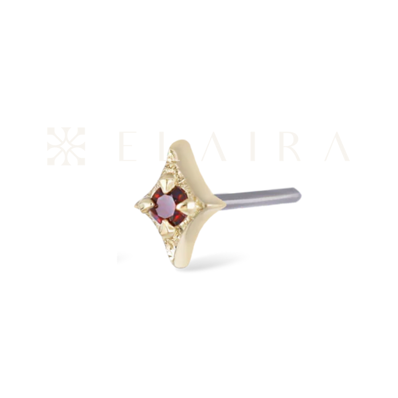 14k Gold Diamond • Ace of Gems Garnet