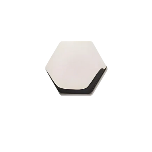 Elaira Titanium Hexagon Stud