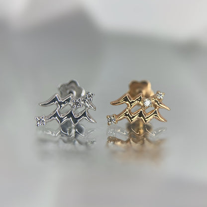 TLD Aquarius (January 20 – February 18)