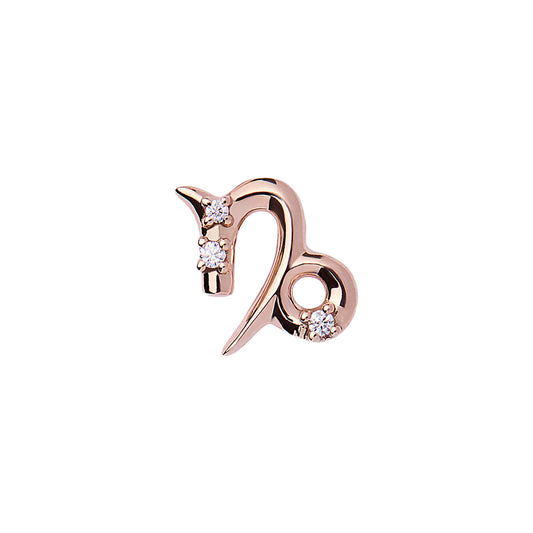 TLD Capricorn (December 22 – January 19)
